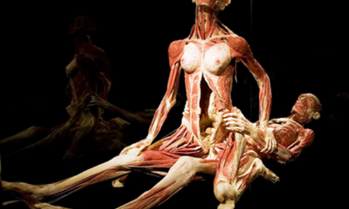 पैसे देकर शवों को सेक्स करते देखने का मौका! नहीं देखा होगा आपने कभी ऐसा