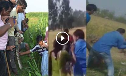 खेतों में कर रहे थे ये गंदा काम, तब तक पहुंचे गाँव के लोग फिर क्या हुआ देखें वीडियो खेतों में कर रहे थे ये गंदा काम, तब तक पहुंचे गाँव के लोग फिर क्या हुआ देखें वीडियो