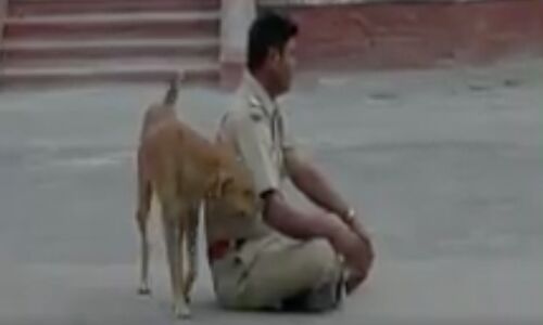 नशे में थाने के बाहर पुलिसवाले का हंगामा, वीडियो वायरल