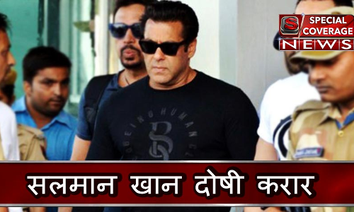 LIVE: काले हिरण शिकार मामले में सलमान खान दोषी करार, सोनाली-सैफ अली-नीलम-तब्‍बू बरी