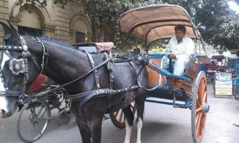 किस तरह थम गई दिल्ली के तांगों की रफ्तार!
