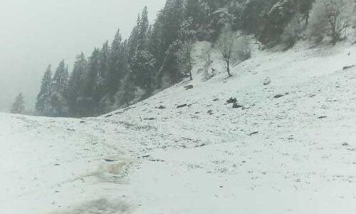 हिमाचल में ठिठुरी रात, सर्दी का सितम जारी चार जिलों का तापमान हुआ शून्य!