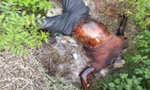 गाजियाबाद में लावारिस शव बरामद गाजियाबाद में लावारिस शव बरामद