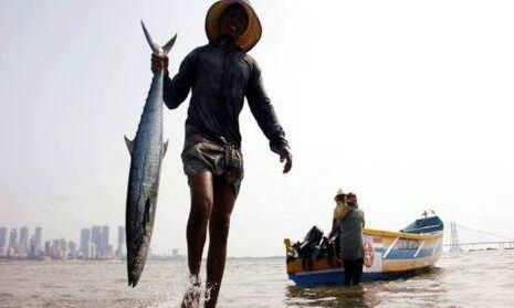 जब अचानक असमान से बरसी मछलियाँ, लोग हैरान रह गये यह देखकर!