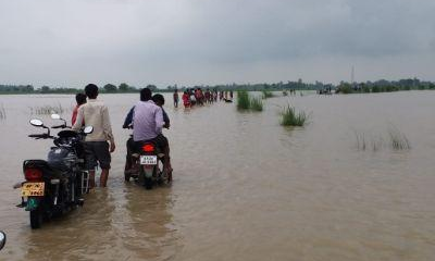 बाढ़ से कटियारी हुई जलमग्न, देखिये तस्वीरें