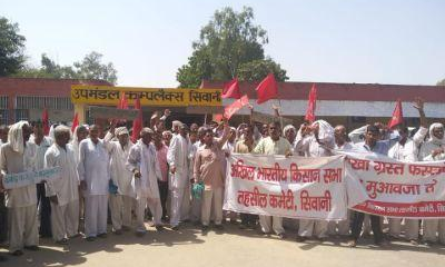 हरियाणा की एक तहसील  जहाँ फसल खराबा एक नियति बन चुकी है