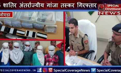 नोएडा पुलिस की बड़ी कार्यवाही, 5 शातिर अंतर्राज्यीय गांजा तस्कर गिरफ्तार, 100 किलो गांजा बरामद नोएडा पुलिस की बड़ी कार्यवाही, 5 शातिर अंतर्राज्यीय गांजा तस्कर गिरफ्तार, 100 किलो गांजा बरामद