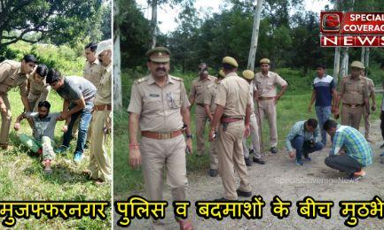 मुजफ्फरनगर : पुलिस व बदमाशों के बीच मुठभेड़, 25 हजारी ईनामी बदमाश घायल, एक फरार मुजफ्फरनगर : पुलिस व बदमाशों के बीच मुठभेड़, 25 हजारी ईनामी बदमाश घायल, एक फरार