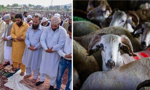 рд░рд╛рдЬрд╕реНрдерд╛рди рдореЗрдВ 22 рдЕрдЧрд╕реНрдд рдХреЛ рдордирд╛рдИ рдЬрд╛рдПрдЧреА рдмрдХрд░реАрдж рд░рд╛рдЬрд╕реНрдерд╛рди рдореЗрдВ 22 рдЕрдЧрд╕реНрдд рдХреЛ рдордирд╛рдИ рдЬрд╛рдПрдЧреА рдмрдХрд░реАрдж