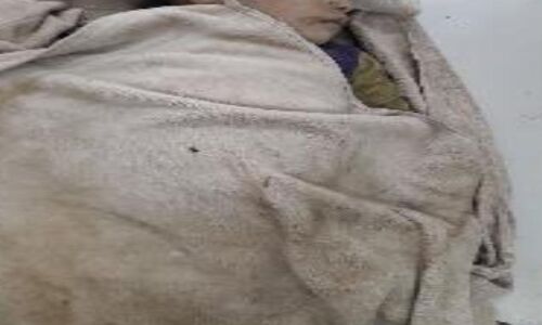 कासगंज में बड़ा हादसा , मकान गिरने से एक ही परिवार के तीन मासूम बच्चों की मौत, महिला समेत तीन गंभीर घायल कासगंज में बड़ा हादसा , मकान गिरने से एक ही परिवार के तीन मासूम बच्चों की मौत, महिला समेत तीन गंभीर घायल