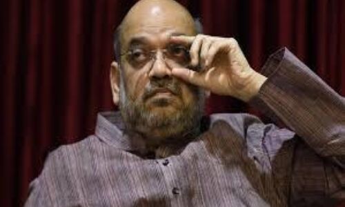अमित शाह बीजेपी अध्यक्ष