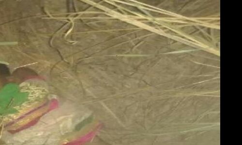 5 वर्षीय बच्ची के रेप के बाद हुई हत्या का आरोपी गिरफ्तार 5 वर्षीय बच्ची के रेप के बाद हुई हत्या का आरोपी गिरफ्तार