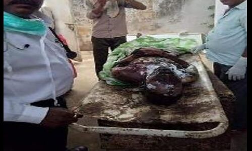 दलित को जिंदा जला दिया, पत्नी गिडगिडा कर रहम की भीख मांगती रही