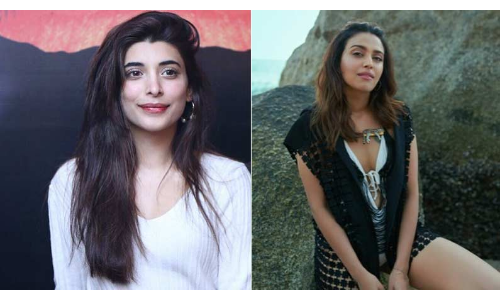 फिल्म बैन होने पर पाक पर भड़कीं स्वरा भास्कर, तो पाकिस्तानी एक्ट्रेस ने वीडियो शेयर कर दिया ये जवाब!