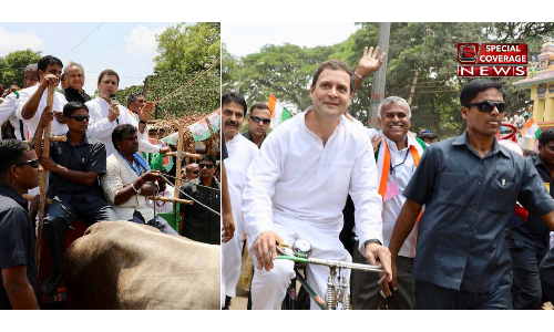 कर्नाटक चुनाव: बैलगाड़ी और साइकल पर किया रोड शो, मोदी सरकार से पूछे ये सवाल कर्नाटक चुनाव: बैलगाड़ी और साइकल पर किया रोड शो, मोदी सरकार से पूछे ये सवाल