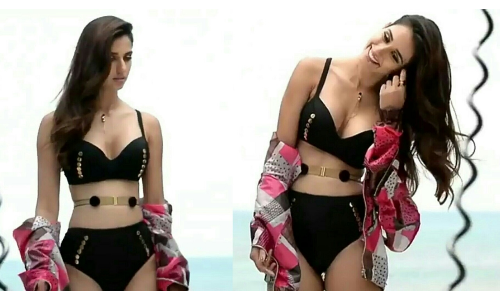 दिशा पटानी के डांस वीडियो ने सोशल मीडिया पर मचाया तहलका, आपने देखा क्या?