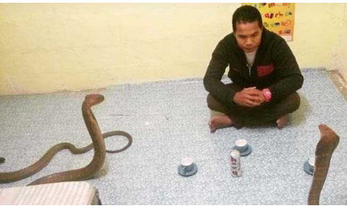 ये शख्स घर में पालता था कोबरा, करता था KISS, फिर एक दिन हुआ कुछ ऐसा