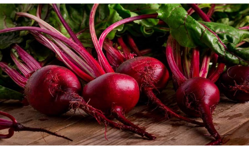 चुकंदर खाने के ये फायदे नहीं जानते होंगे आप, इसके नियमित सेवन बढ़ाएगा आपकी उम्र चुकंदर खाने के ये फायदे नहीं जानते होंगे आप, इसके नियमित सेवन बढ़ाएगा आपकी उम्र