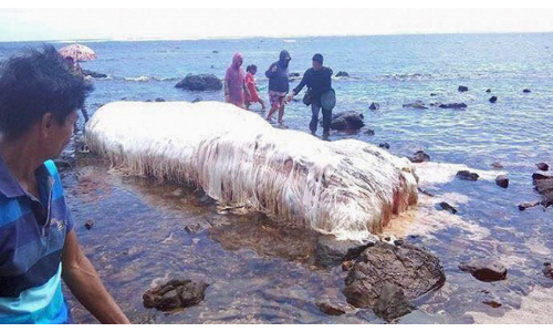 OMG: समुद्र किनारे मिला घने बालों वाला 20 फीट लंबा रहस्यमयी जीव, देखकर लोगों के उड़े होश