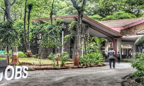 TISS मुंबई में प्रोफेसर बनने के मौके, जल्द अप्लाई करें...