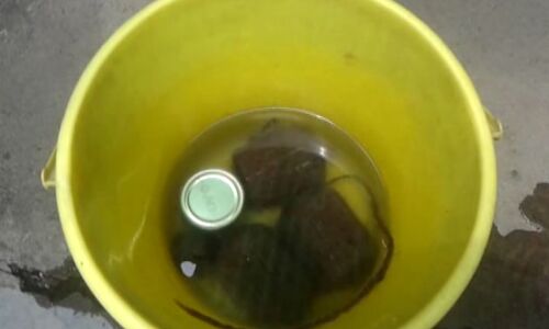 पटना यूनिवर्सिटी के हॉस्टल से पांच जिंदा बम बरामद