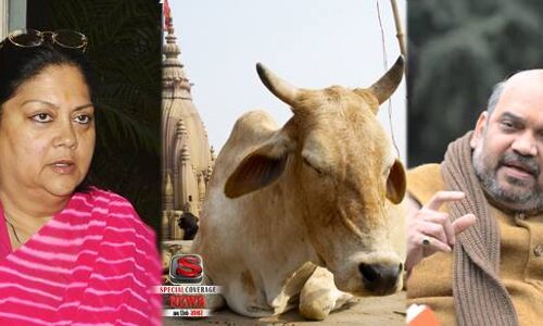 कहाँ गया भाजपा का गाय प्रेम, भूखी प्यासी गायो का तड़प कर मरने का क्रम अनवरत जारी