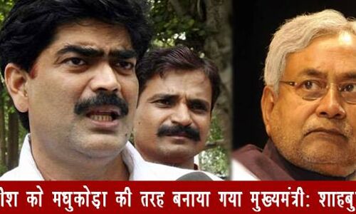 नीतीश के खिलाफ ये क्या बोले लालू के शेर शाहबुद्दीन ?