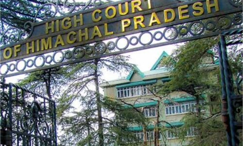 केंद्र सरकार को हिमाचल HC का गो हत्या पर बड़ा आदेश, पढ़े