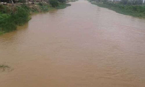 महिला ने 3 बच्चों को नहर में फेंका, खुद भी लगाई छलांग