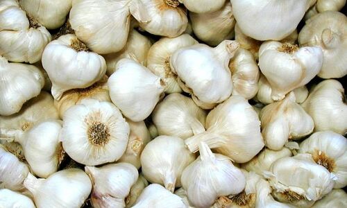 लहसुन से कीजिये बालों की समस्या का समाधान,जानिए इसके अन्य फायदे