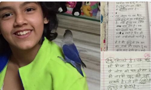 रक्षावंधन पर जब कहा टीचर ने 10 वर्षीय नीली से निबंध लिखने को तो क्या लिखा?