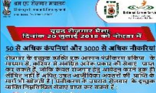 नोएडा में जॉब ही जॉब: 50 से अधिक कम्पनियां और तीन हजार से अधिक नौकरियां