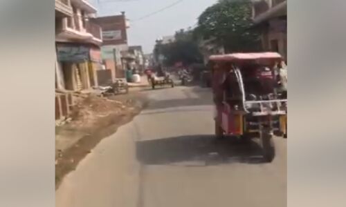 बे- लगाम घोड़े का वीडियो वायरल, मचा हडकम्प बे- लगाम घोड़े का वीडियो वायरल, मचा हडकम्प