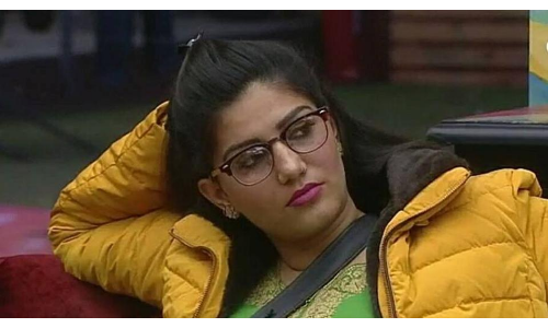 BJP सांसद ने सपना चौधरी को लेकर दिया बिबादित बयान!