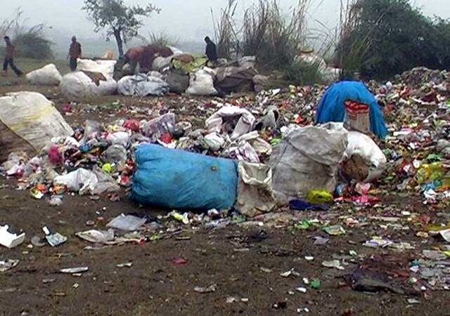 यमुना की सफाई को लेकर हाईकोर्ट सख्त, मुख्य सचिव में मांगी प्रगति रिपोर्ट